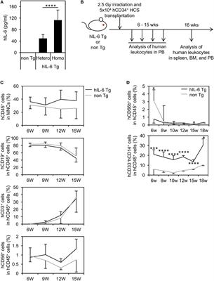 Generation of Human Immunosuppressive Myeloid Cell Populations in Human Interleukin-6 Transgenic NOG Mice